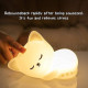 Ночник Cat A16 с аккумулятором 1200 mAh (White)