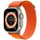 Ремешок для Apple Watch 42/44/45/49 мм Alpine Loop (Orange)