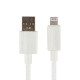 Кабель Hoco X107 USB-A – Lightning (1 м · 12W · 2.4A) (White)