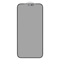 Захисне скло Privacy для Apple iPhone 12 Pro (Full Glue) (0.3 мм, 2.5D) (Black)
