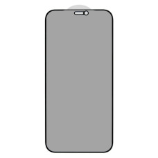 Защитное стекло Privacy для Apple iPhone 12 Pro (Full Glue) (0.3 мм, 2.5D) (Black)