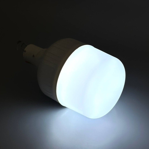 Аккумуляторная лампа-фонарь BDG 30 Вт (White)
