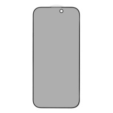 Защитное стекло Privacy для Apple iPhone 16 Pro (Full Glue) (0.3 мм, 2.5D) (Black)