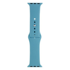 Ремінець для Apple Watch 38/40/41 мм Band Silicone (Cactus)