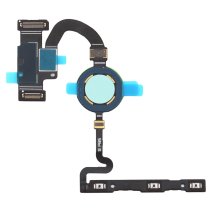 Сканер отпечатков пальцев для Google Pixel 5 (Green) (Original PRC) (с кнопками включения и громкости)