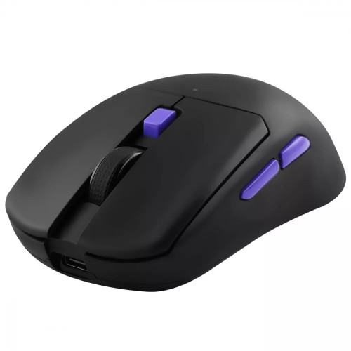 Мышка беспроводная игровая Proove Gaming Everon (Black)