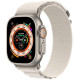 Ремешок для Apple Watch 42/44/45/49 мм Alpine Loop (Starlight)