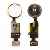 Шлейф з кнопкою Home для Apple iPhone SE (3rd gen) (2022) (Universal 3rd gen. YF) (Gold)