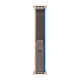 Ремешок для Apple Watch 38/40/41 мм Trail Loop (Blue/Gray)