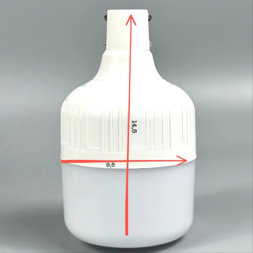 Аккумуляторная лампа-фонарь BDG 30 Вт (White)