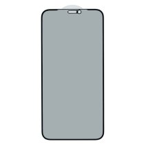 Защитное стекло Privacy для Apple iPhone 11 (Full Glue) (0.3 мм, 2.5D) (Black)