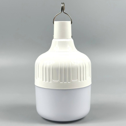 Аккумуляторная лампа-фонарь BDG 30 Вт (White)