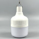 Аккумуляторная лампа-фонарь BDG 30 Вт (White)