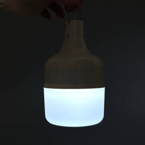 Аккумуляторная лампа-фонарь BDG 30 Вт (White)