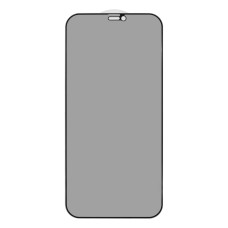 Защитное стекло Privacy для Apple iPhone 12 Pro Max (Full Glue) (0.3 мм, 2.5D) (Black)