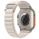 Ремешок для Apple Watch 42/44/45/49 мм Alpine Loop (Starlight)