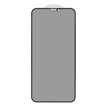 Защитное стекло Privacy для Apple iPhone 11 Pro (Full Glue) (0.3 мм, 2.5D) (Black)