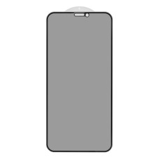 Защитное стекло Privacy для Apple iPhone Xs (Full Glue) (0.3 мм, 2.5D) (Black)